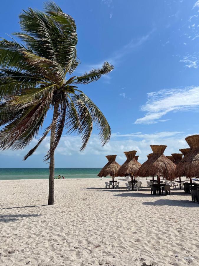 Itze Hostel Boutique - Progreso بروغريسو المظهر الخارجي الصورة