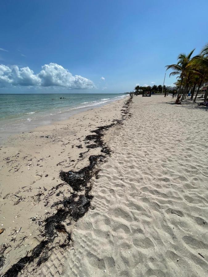 Itze Hostel Boutique - Progreso بروغريسو المظهر الخارجي الصورة